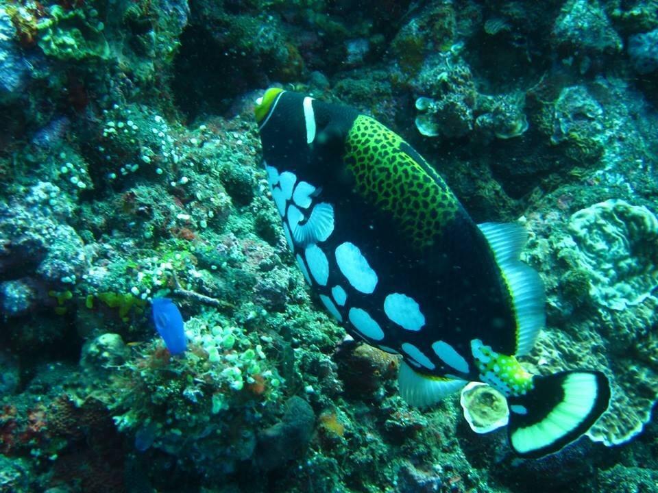 艾湄湾海滩索卡民宿 客房 照片